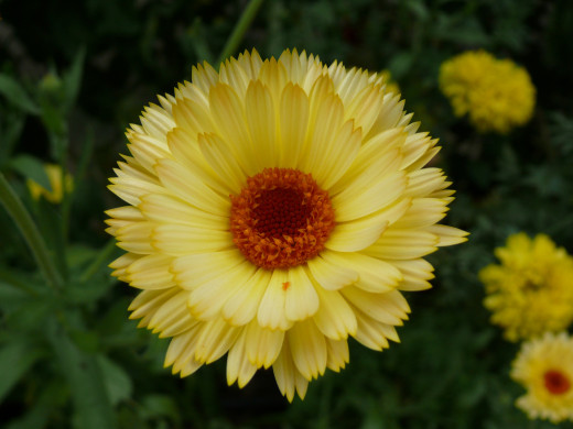 654961 (a): :1600x1200